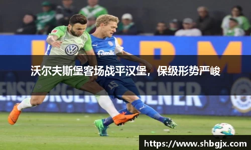 沃尔夫斯堡客场战平汉堡，保级形势严峻