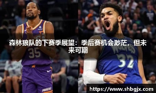 森林狼队的下赛季展望：季后赛机会渺茫，但未来可期
