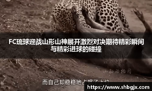 FC琉球迎战山形山神展开激烈对决期待精彩瞬间与精彩进球的碰撞