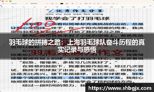 羽毛球的拼搏之路：上海羽毛球队奋斗历程的真实记录与感悟